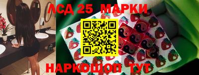 стаф Тара