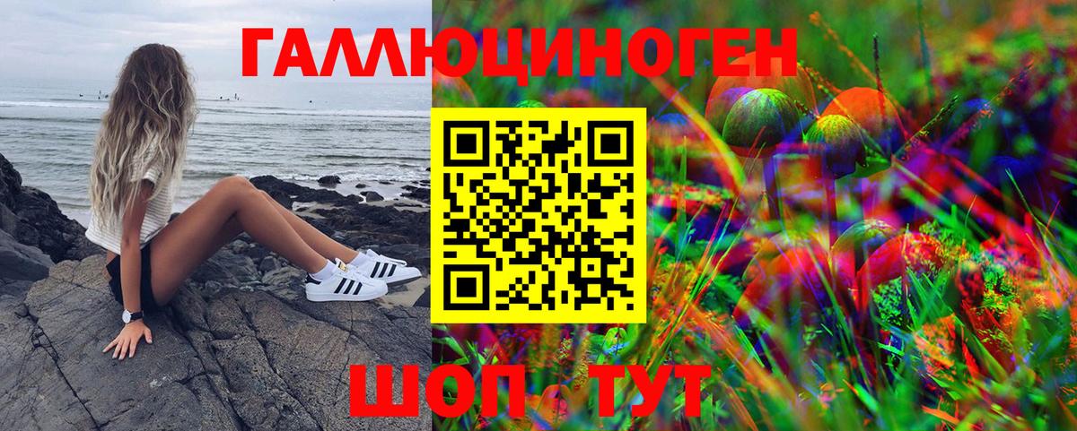 Галлюциногенные грибы MAGIC MUSHROOMS  Псилоцибиновые грибы MAGIC MUSHROOMS  Нововоронеж  Вход с VPN 